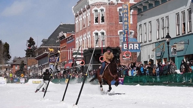Have you heard of Skijoring?