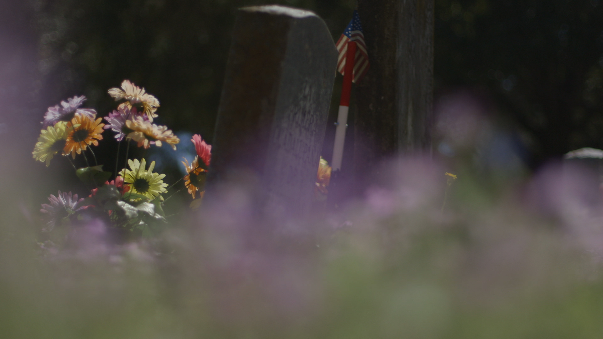 This Week on Americas Now: Giving Migrants Their Names Back