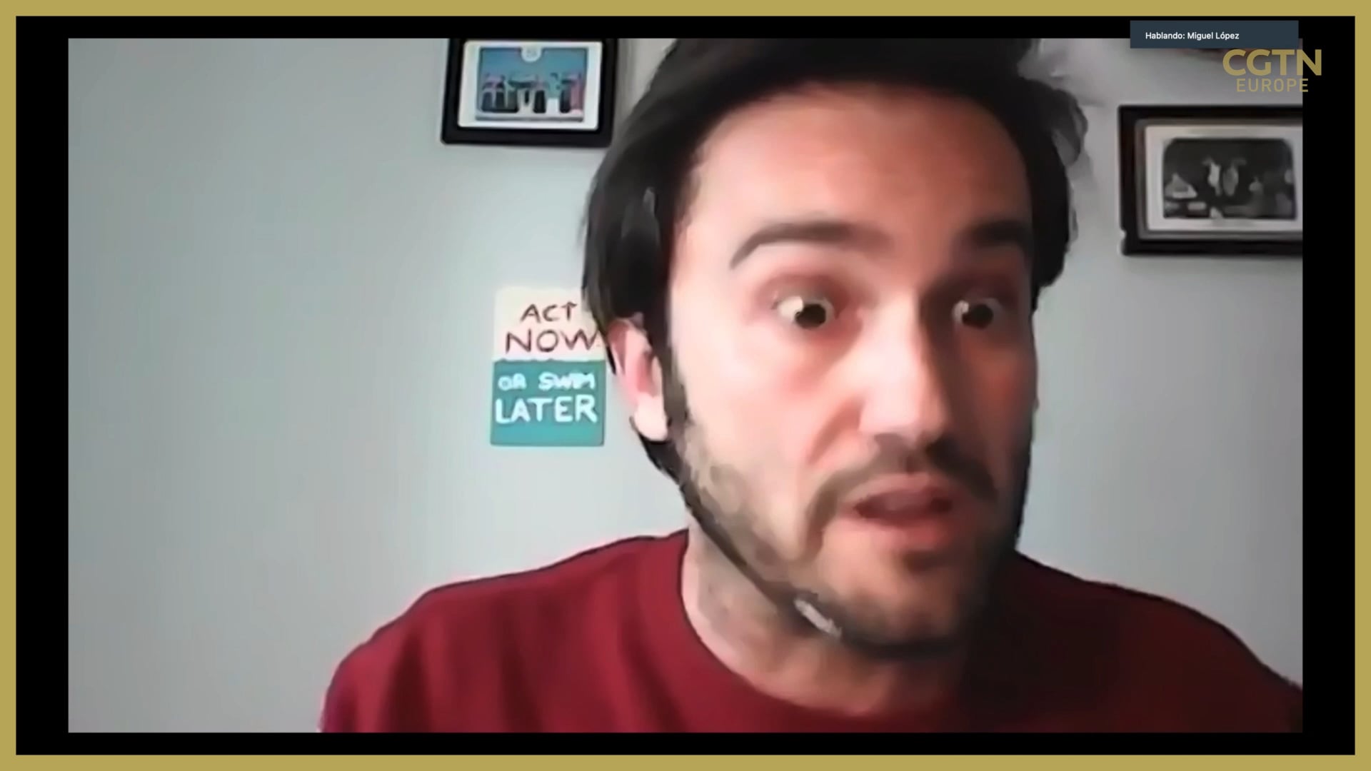 Why Germany's clean energy drive is endangering wildlife