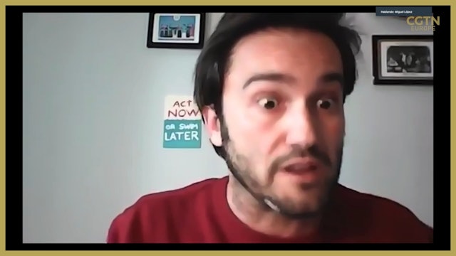 Why Germany's clean energy drive is endangering wildlife