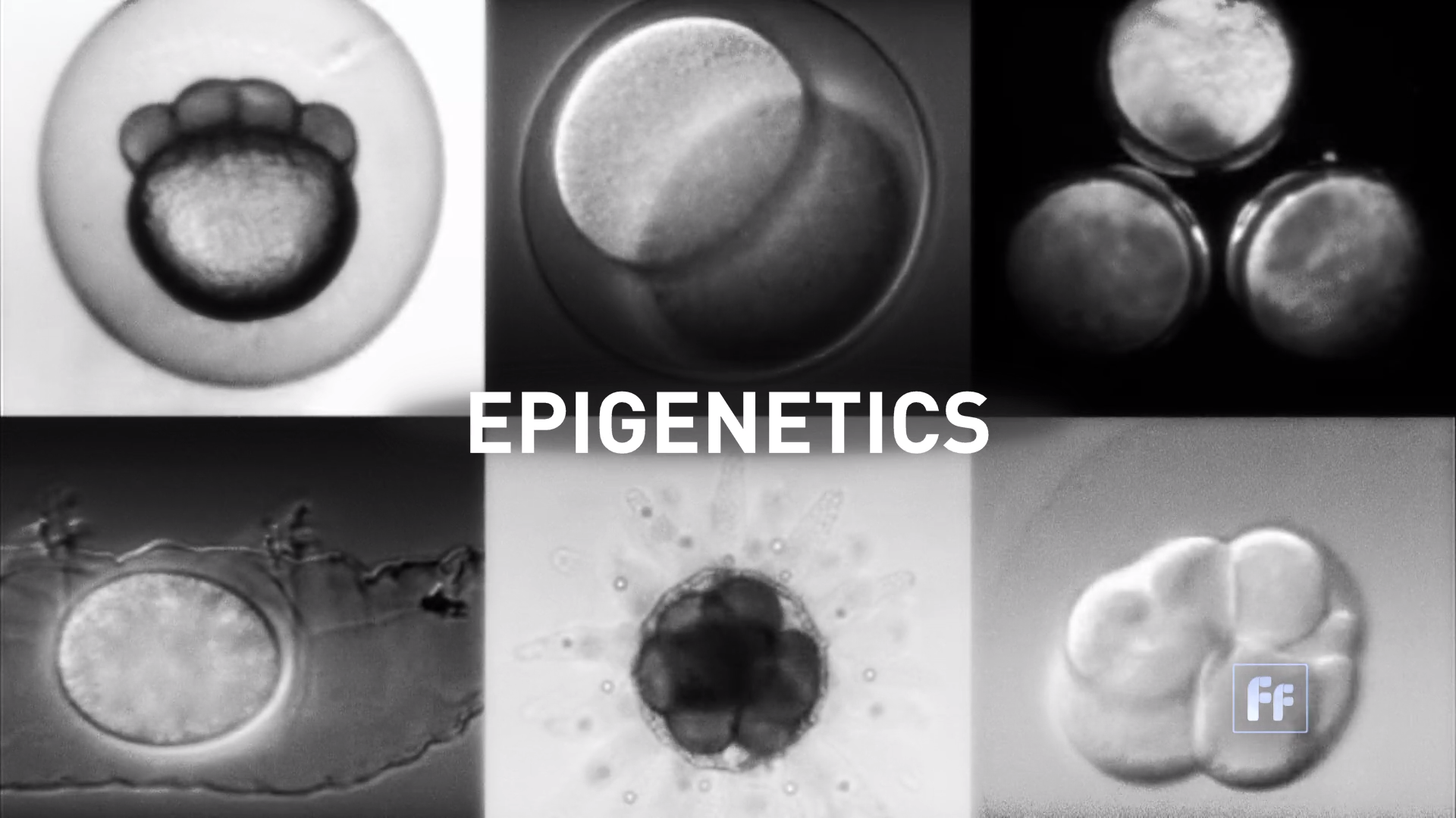 Epigenetics with Dr. Moshe Szyf