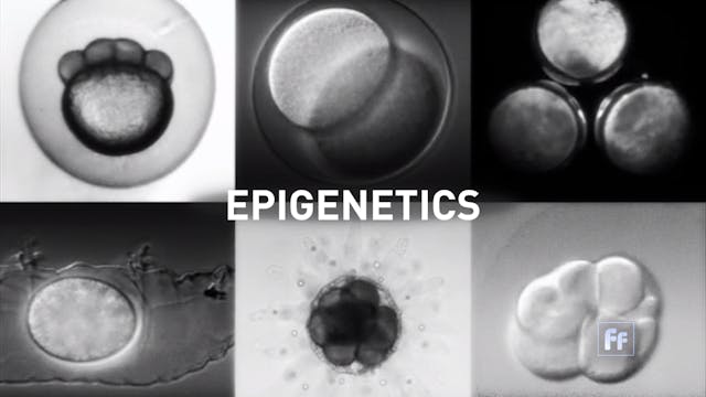 Epigenetics with Dr. Moshe Szyf