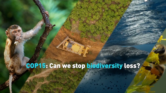 How to stop biodiversity loss