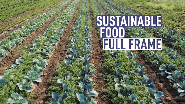 Full Frame: Sustainable Food 