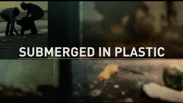 Submerged in Plastic