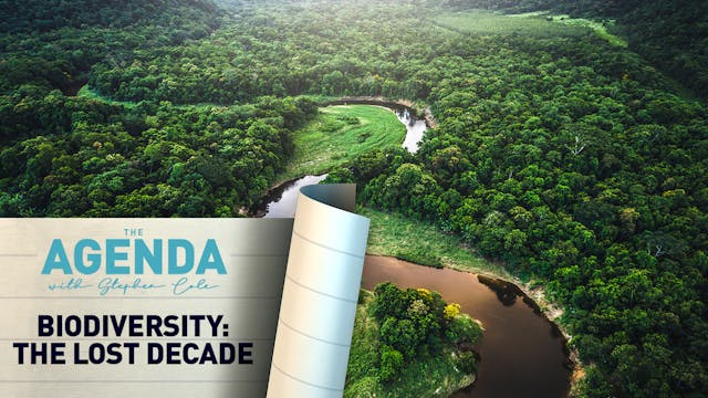 BIODIVERSITY: THE LOST DECADE - The A...