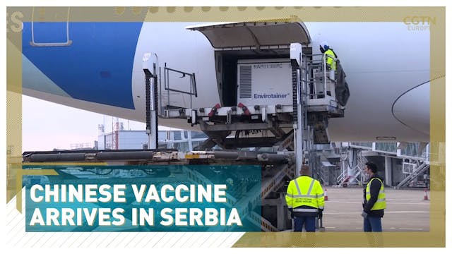 Chinese vaccine arrives in Serbia