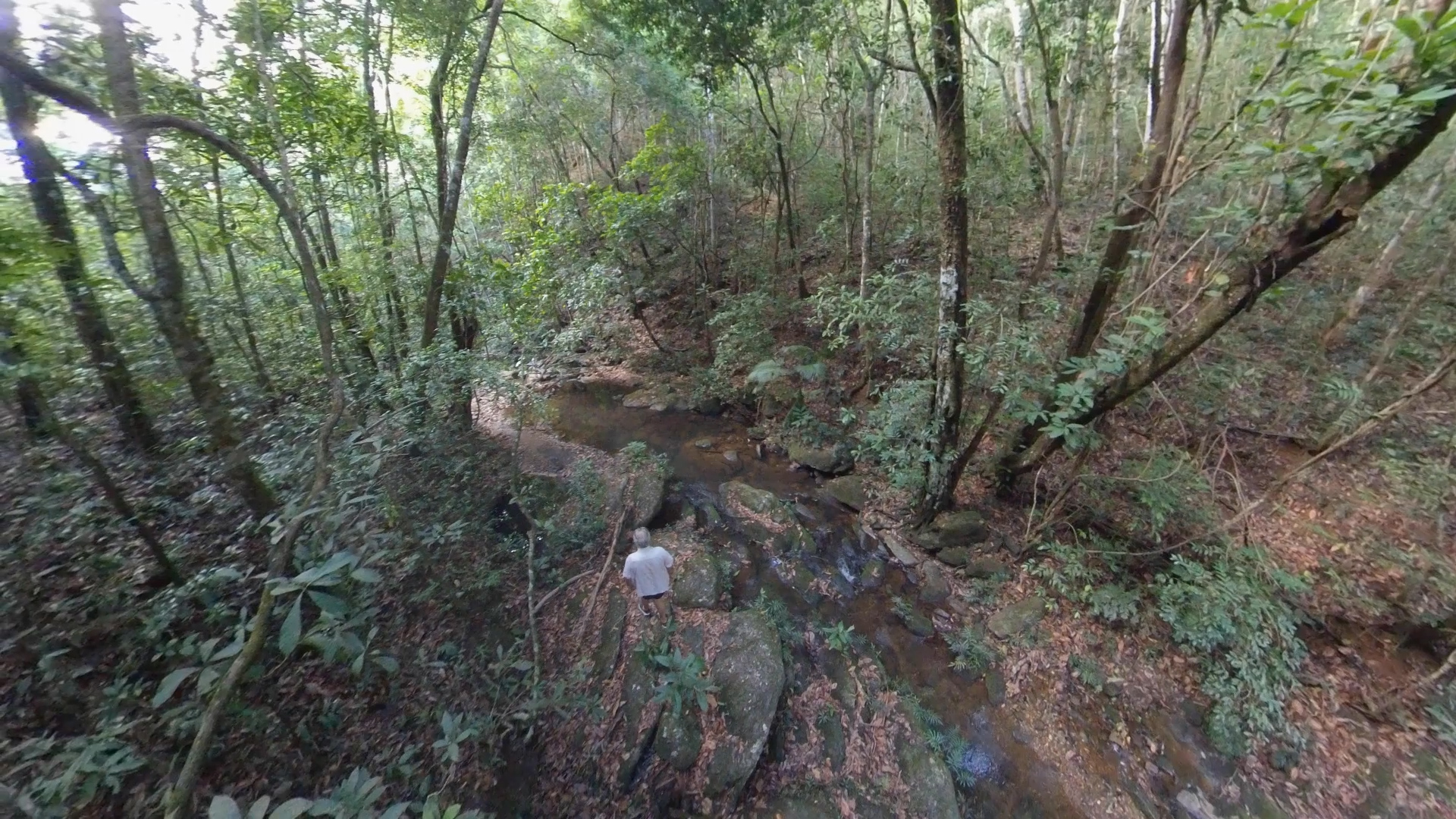 Could private conservationism save the Amazon?