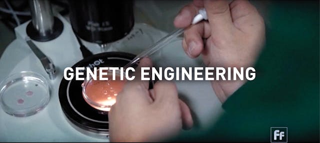 Genetic Engineering