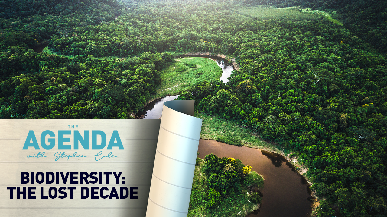  Biodiversity: Why we can’t afford to fail on 2030’s targets - The Agenda