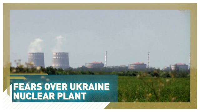 Fears over Ukraine nuclear plant