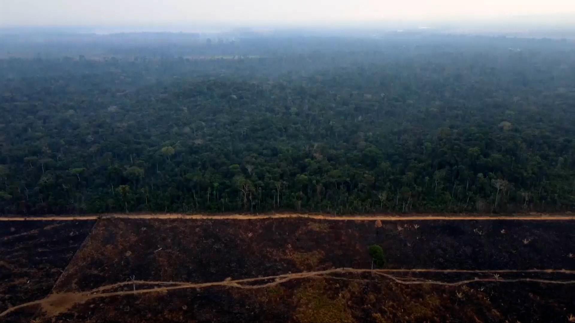 Brazil’s efforts to Rethink Energy Models Have Sugar in Mind