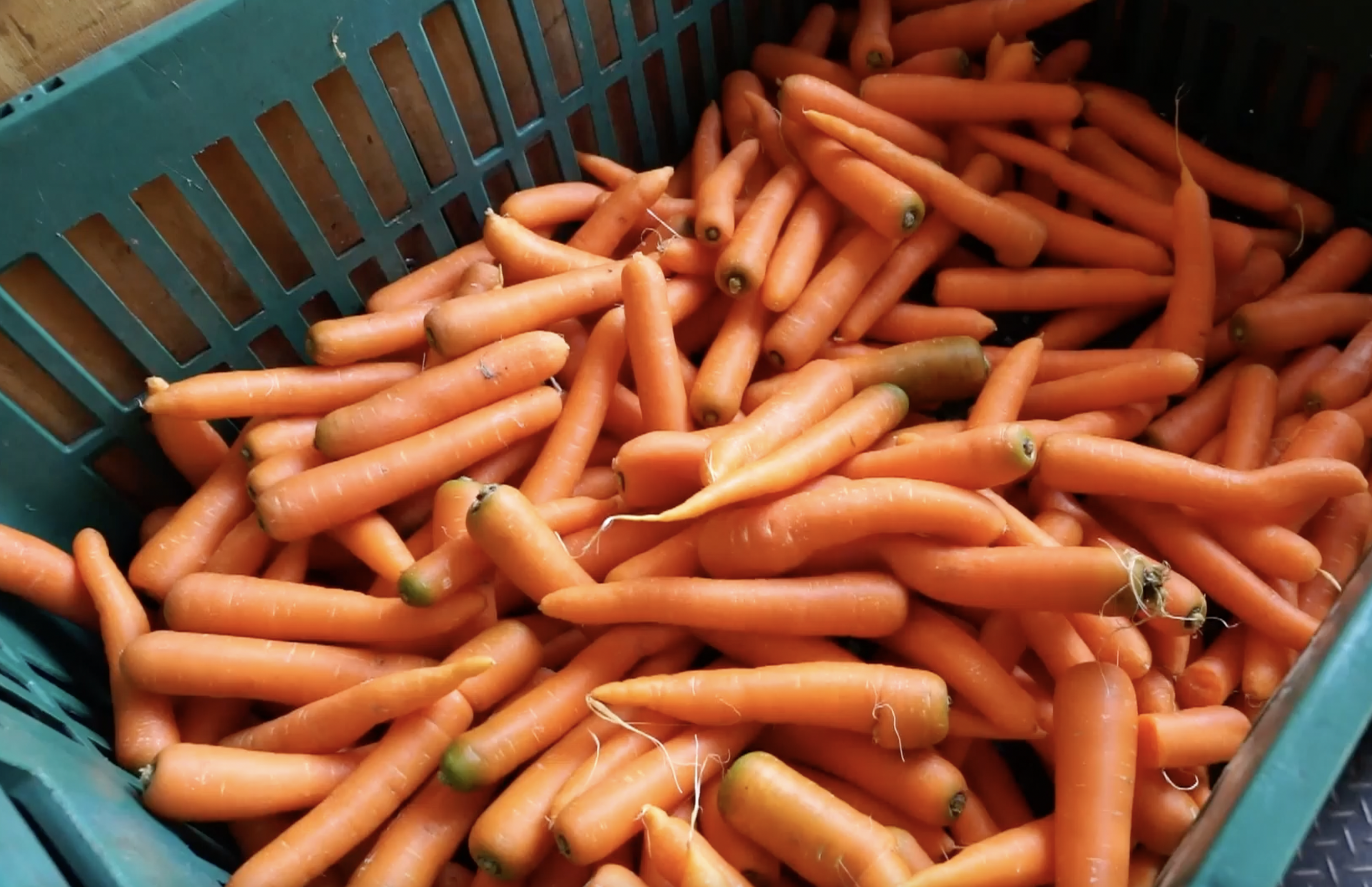 Recycling as a way of life