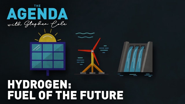 WHY THE WORLD IS EMBRACING HYDROGEN - The Agenda explains