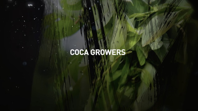 Coca Growers