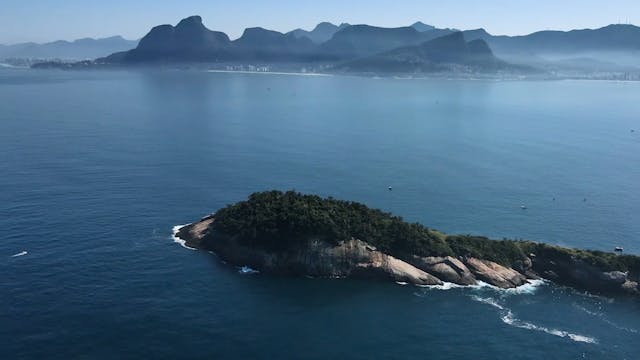 Archipelago: Saving Brazil's marine life