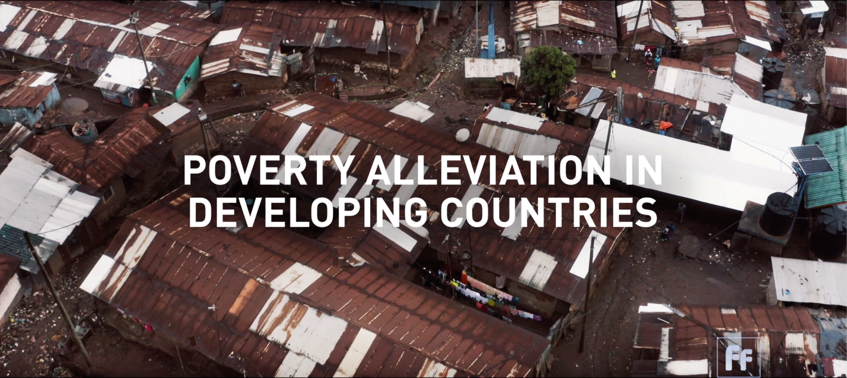 Poverty Alleviation in Developing Countries