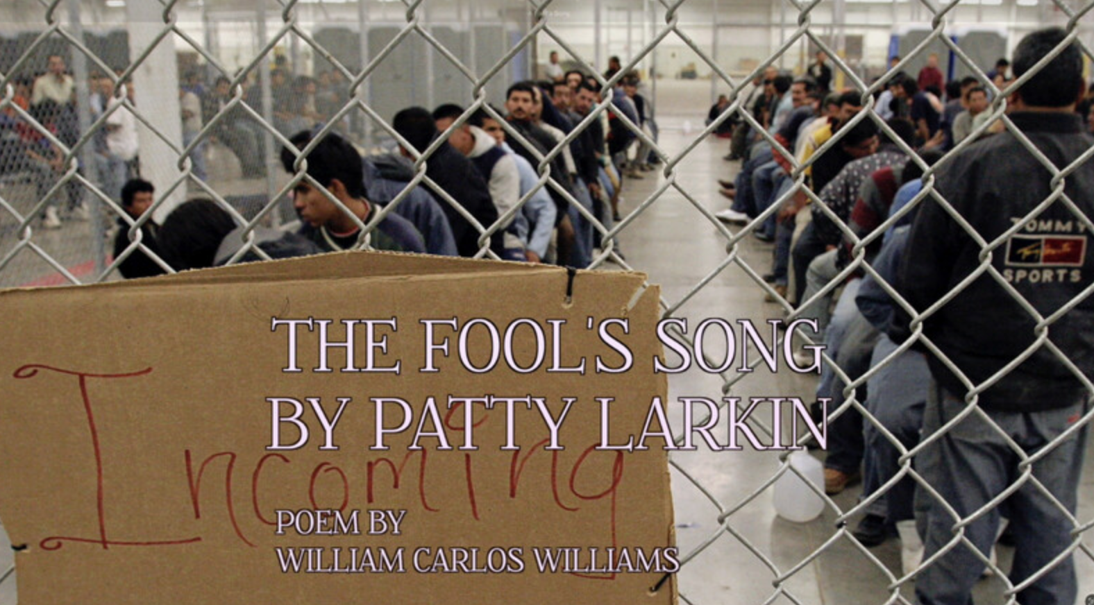 The Fools Song Music Video