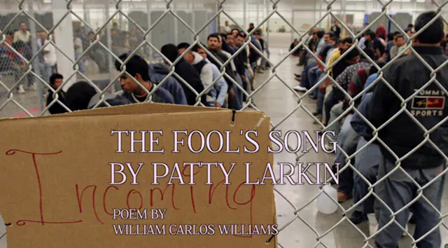 The Fools Song Music Video