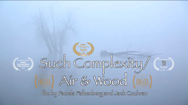 Such Complexity_Air & Wood Short Film