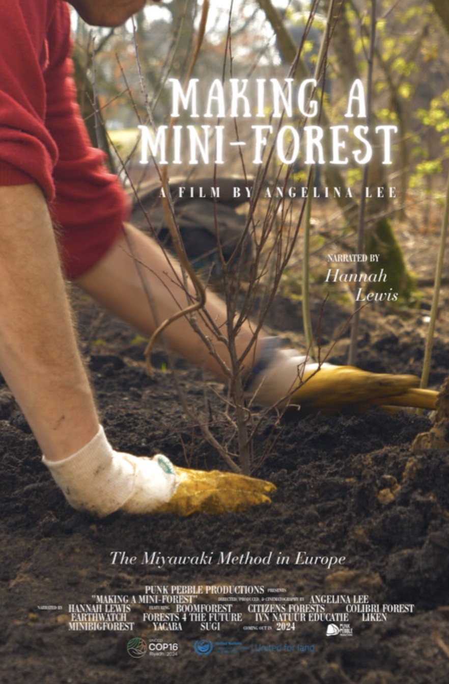 Making a Mini Forest