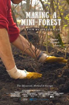 Making a Mini Forest