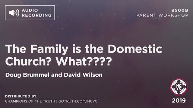 B500B - The Family is the Domestic Church? What????