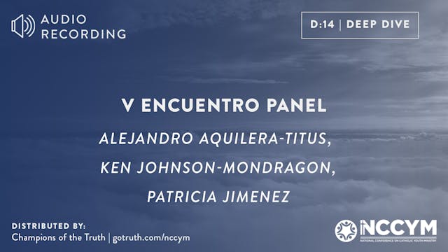 D14 - V Encuentro Panel