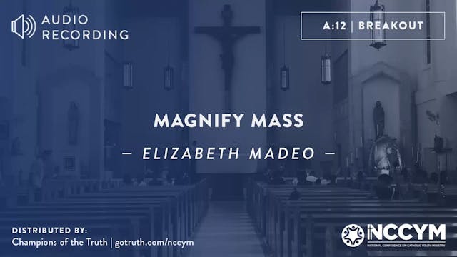 A12 - Magnify Mass