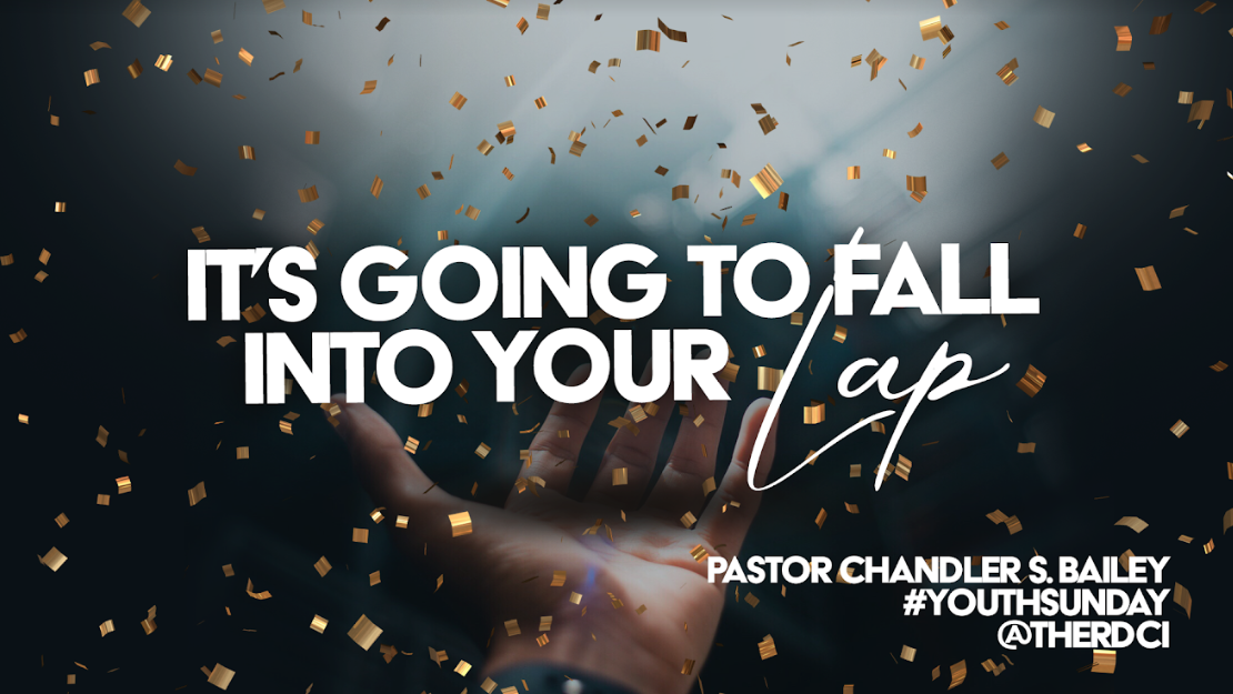 It's Going to Fall into Your Lap // Chandler S. Bailey