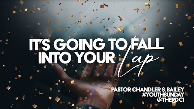 It's Going to Fall into Your Lap // C...