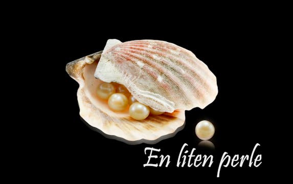 En liten perle, 11 - "Tronsalen"