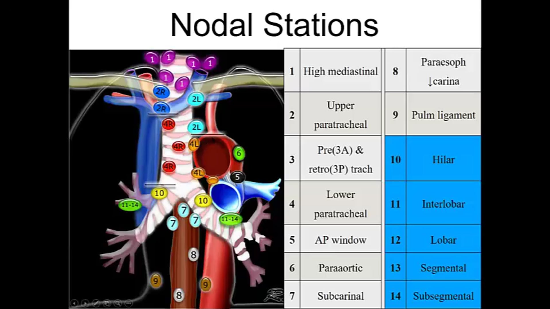 10/15/18 - Dr. Hani Ashamalla - Radiation Oncology - Lung Africa
