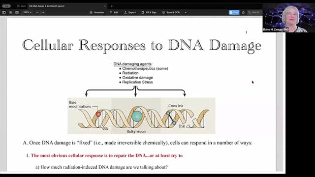 02/15/2024 - Elaine Zeman PhD - Radia...