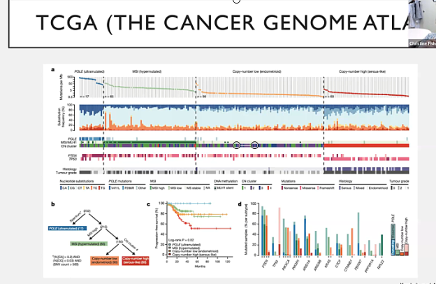 12/27/2013 - Dr. Christine Fisher - Radiation Oncology - GYN