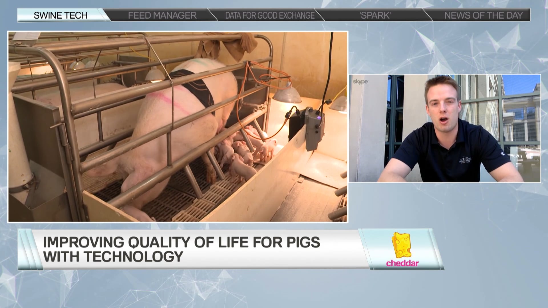 Matthew Rooda - Swine Tech