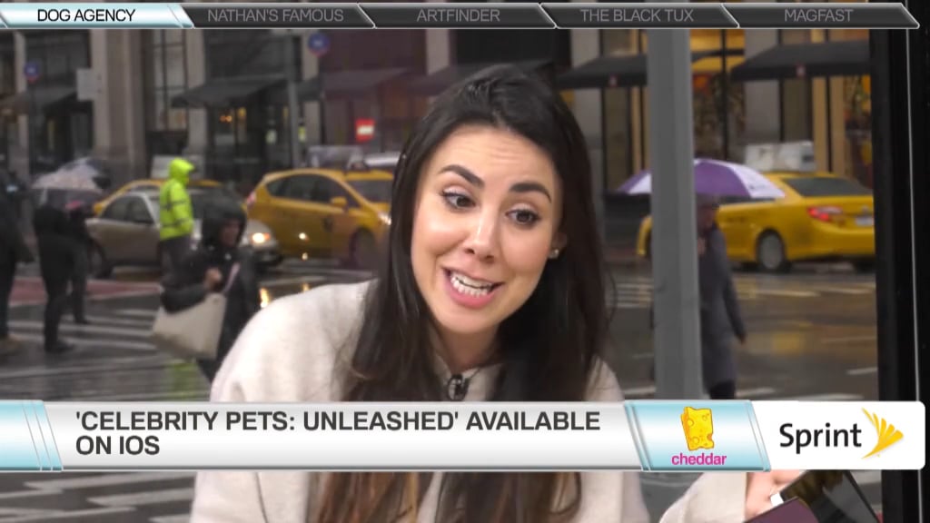 Loni Edwards Dog Agency