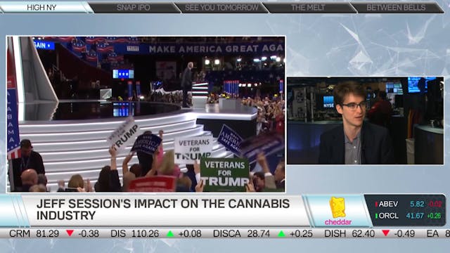 High NY Founder Josh Weinstein on Can...