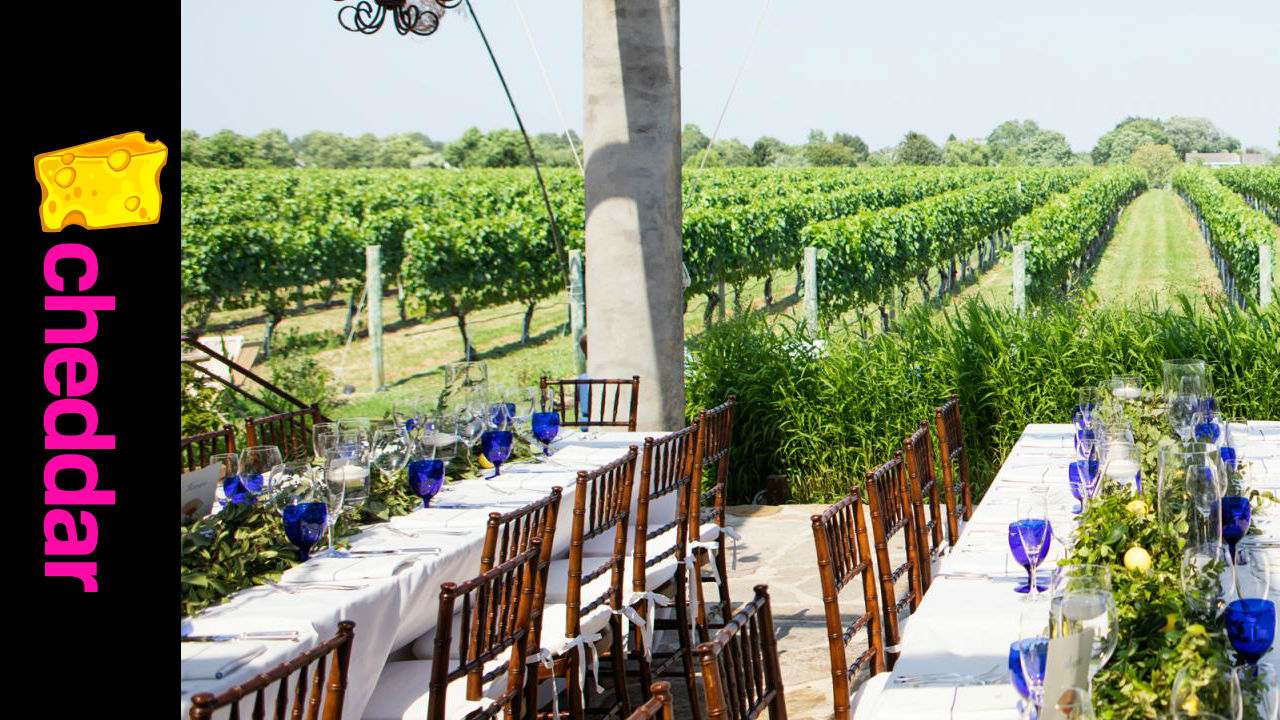 Wölffer Estate Joins Cheddar in The Hamptons!