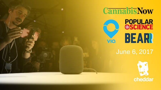 Opening Bell June 7, 2017