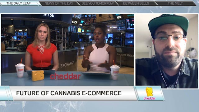 Stephen Gold - co-founder, The Daily ...