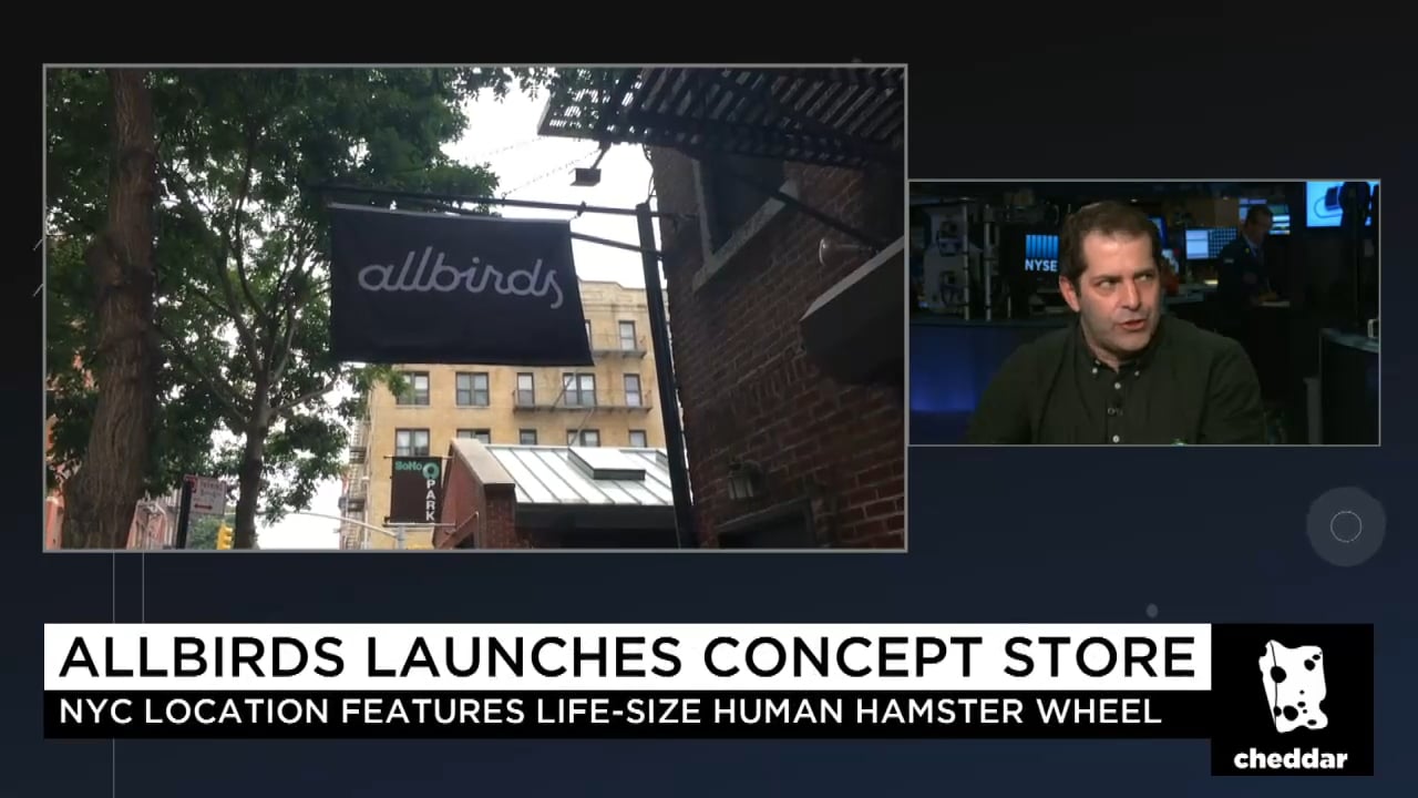 Why Silicon Valley Is Flocking to Wear Allbirds