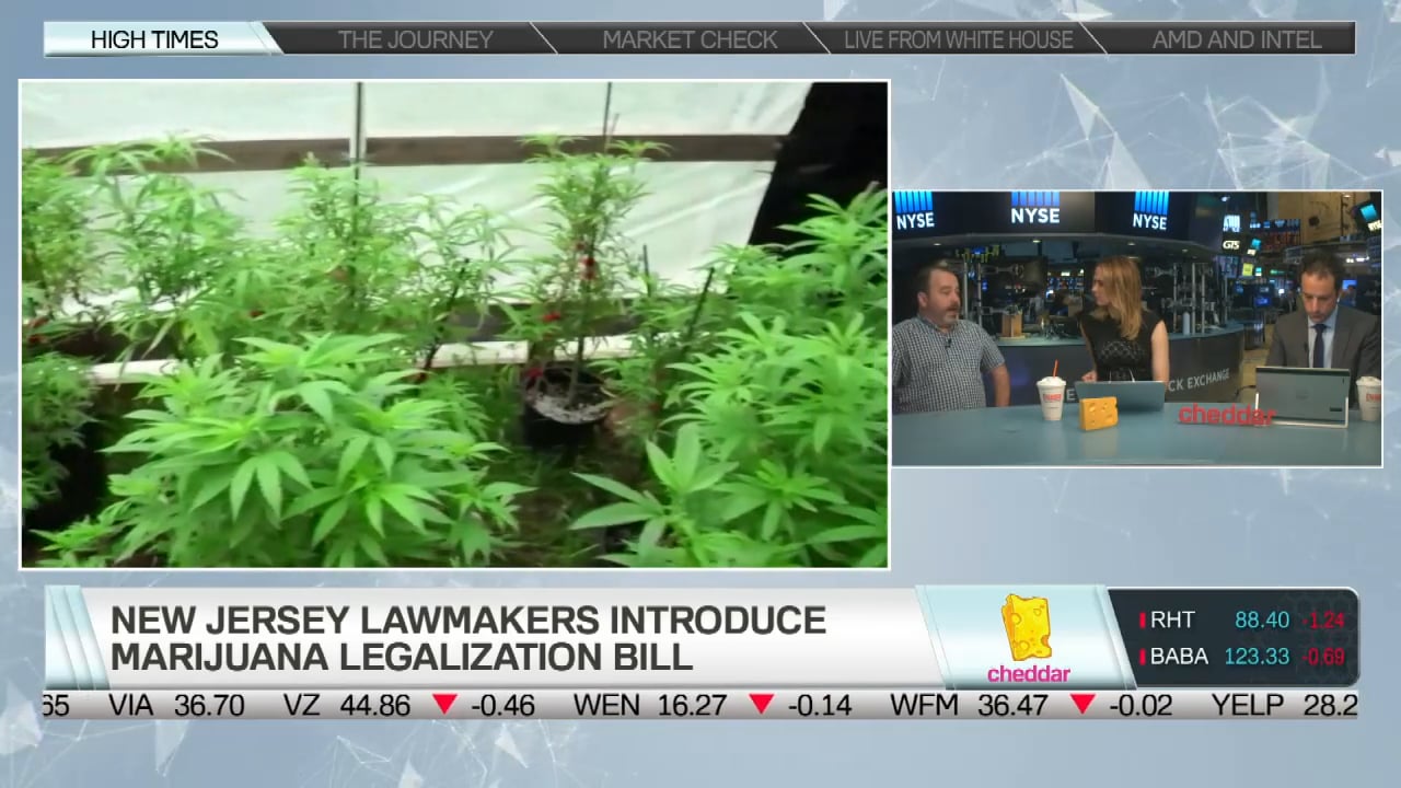 What's Chris Christie's Problem With Marijuana?