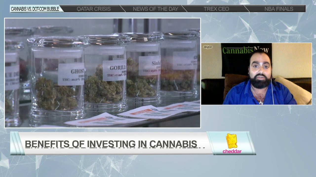 Why Larger Institutions Aren't Investing in Cannabis