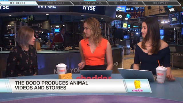 The Dodo's Shana Cohen Explains How t...