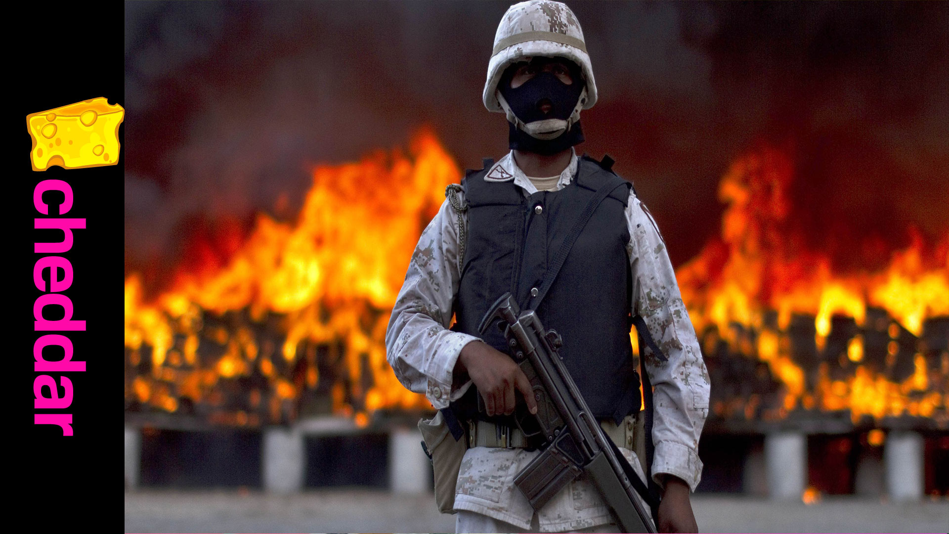 Cannabis Now's Greg Zeman- War on Drugs Is "Bad Policy"