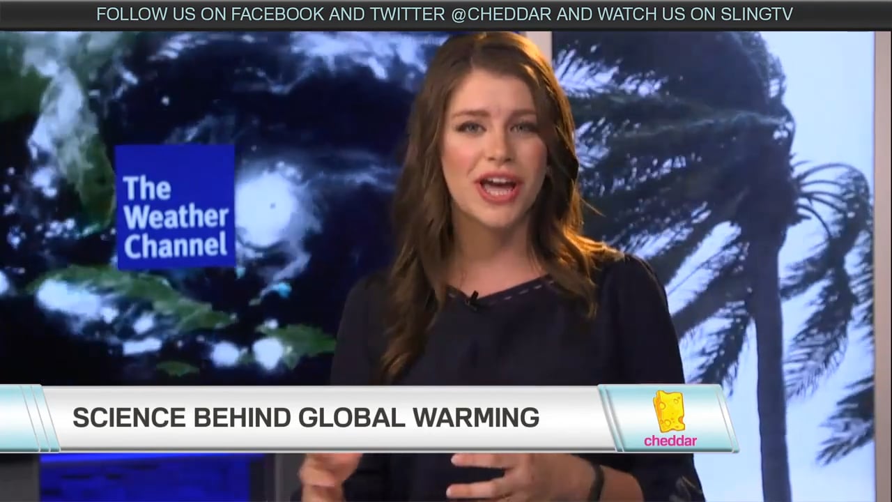 The Weather Channel's Parker- Climate Change Shouldn't be Denied