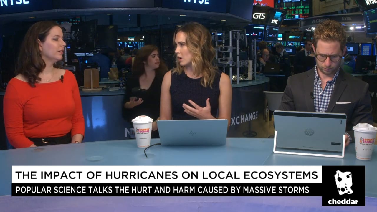 The Harmful...and Helpful Effects...From Hurricanes