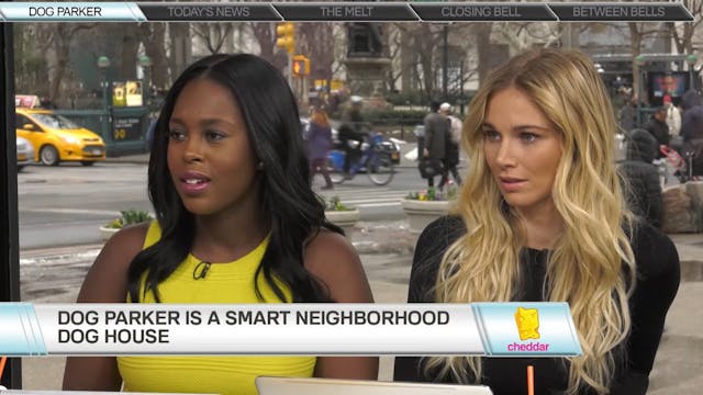 Chelsea Brownridge, Co-Founder of Dog...