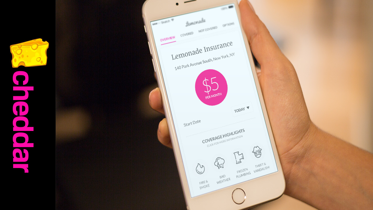 With $60 Million in Funding, Lemonade Looks to Capture New Customers